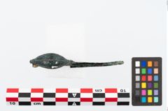 Foto von Bronzekahnfibel (NHMW-PRAE-026478)